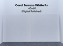 PASADENA 60X60 CORAL TERRAZO WHITE POLISHED KW1